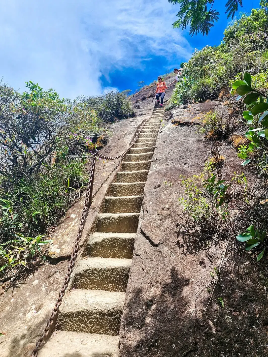 Tijuca-Wald: Rios Dschungel über der Stadt