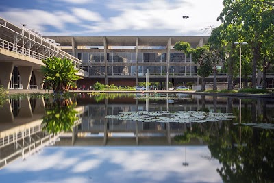 Museu de Arte Moderna (MAM)