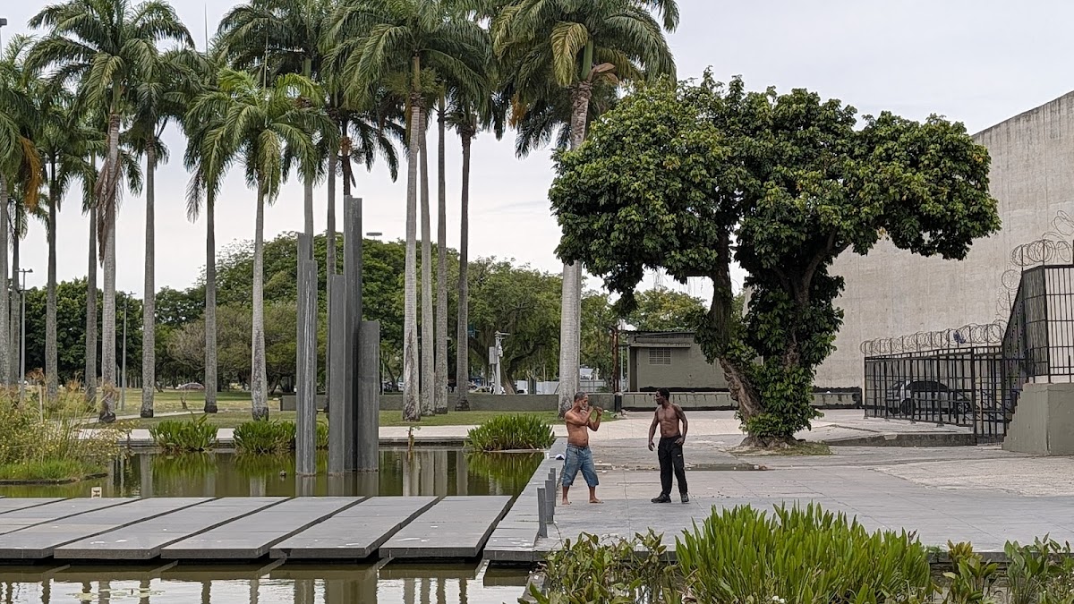 Museu de Arte Moderna (MAM) — photo 2